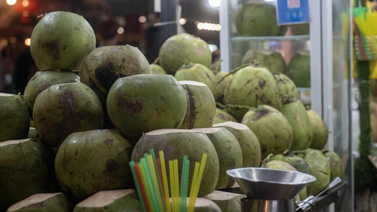 Segarnya Air Kelapa Saat Berbuka Puasa, Benarkah Lebih Menyehatkan? Ini Penjelasan Ilmiahnya