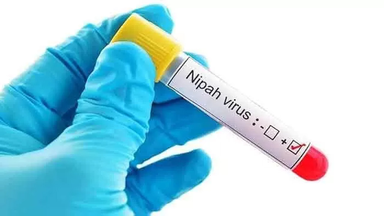 WHO Laporkan Kasus Virus Nipah di India, Dua Perawat Terpapar dan Satu Masih Dirawat Intensif