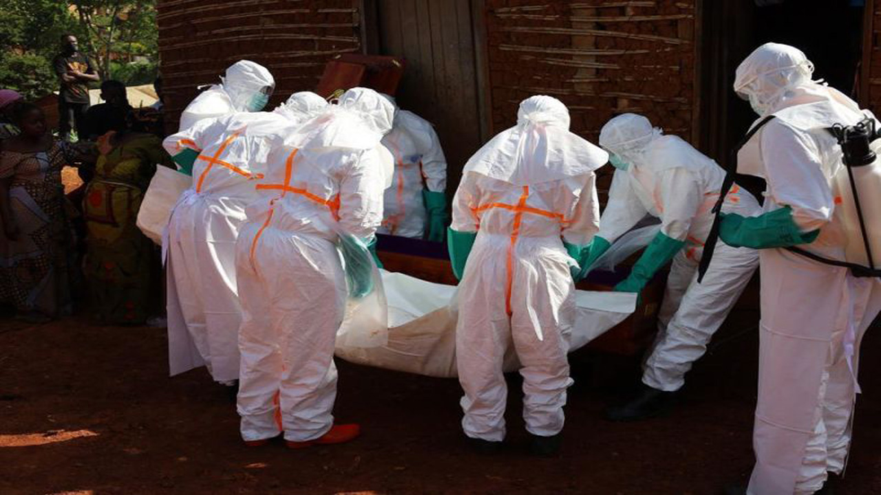 WHO Laporkan Ratusan Kasus Suspek Ebola Bundibugyo di RD Kongo, Tingkat Kematian Jadi Sorotan