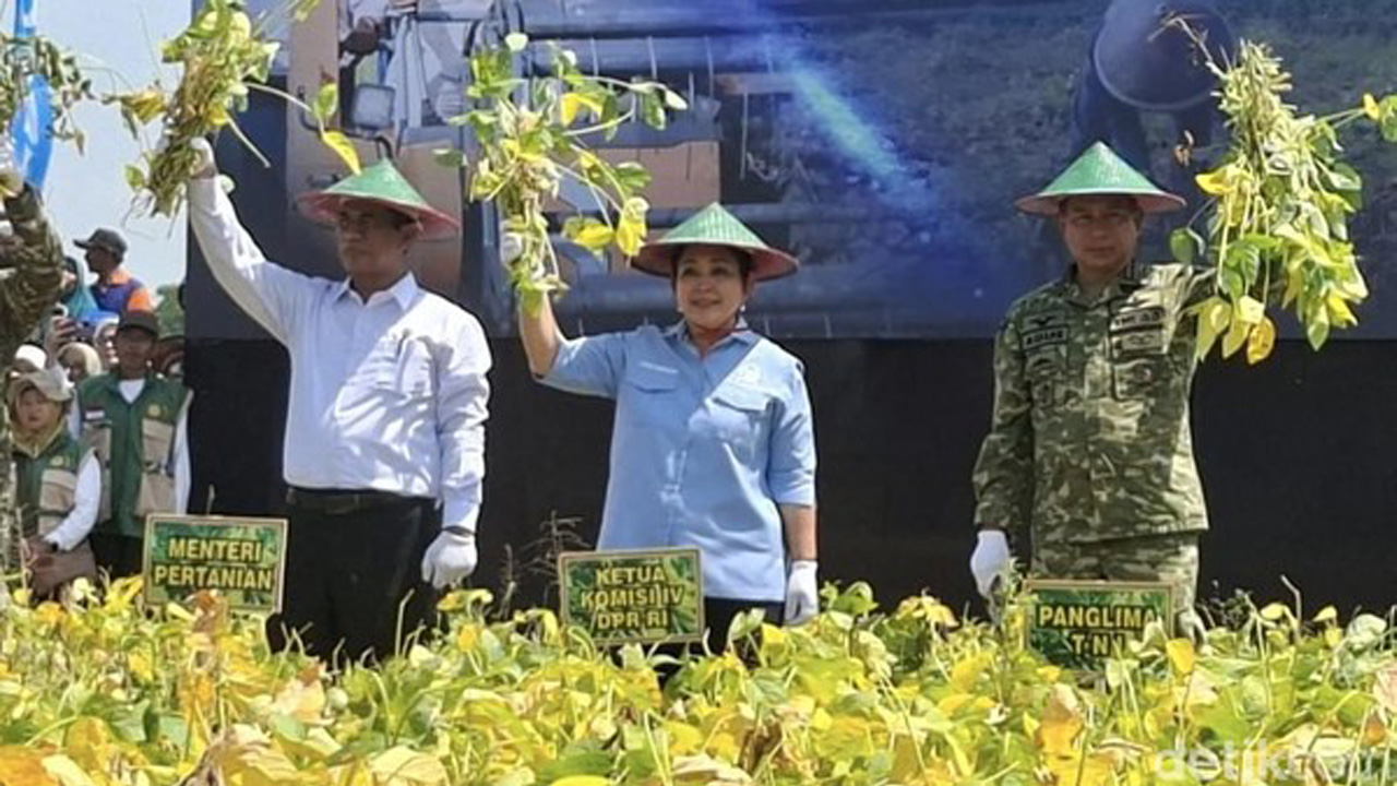 Mentan Amran Percepat Swasembada Bawang Putih dan Kedelai demi Ketahanan Pangan Nasional